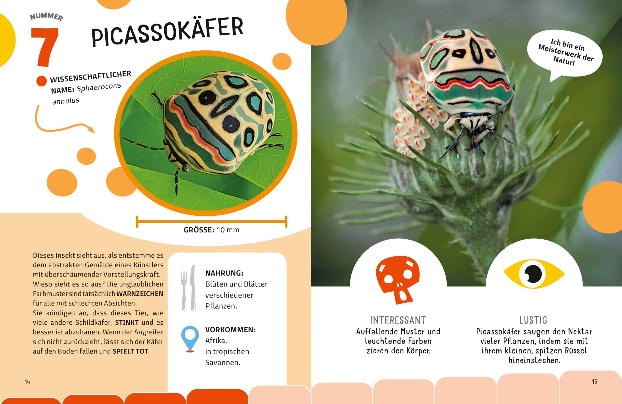 Bild: 9788863127959 | Top Ten die seltsamsten Insekten | Sylvia Winnewisser | Buch | 40 S.