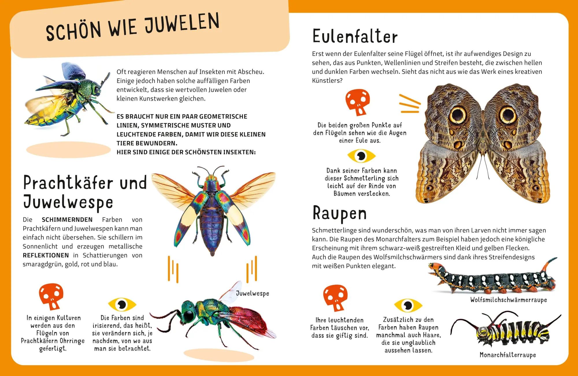 Bild: 9788863127959 | Top Ten die seltsamsten Insekten | Sylvia Winnewisser | Buch | 40 S.