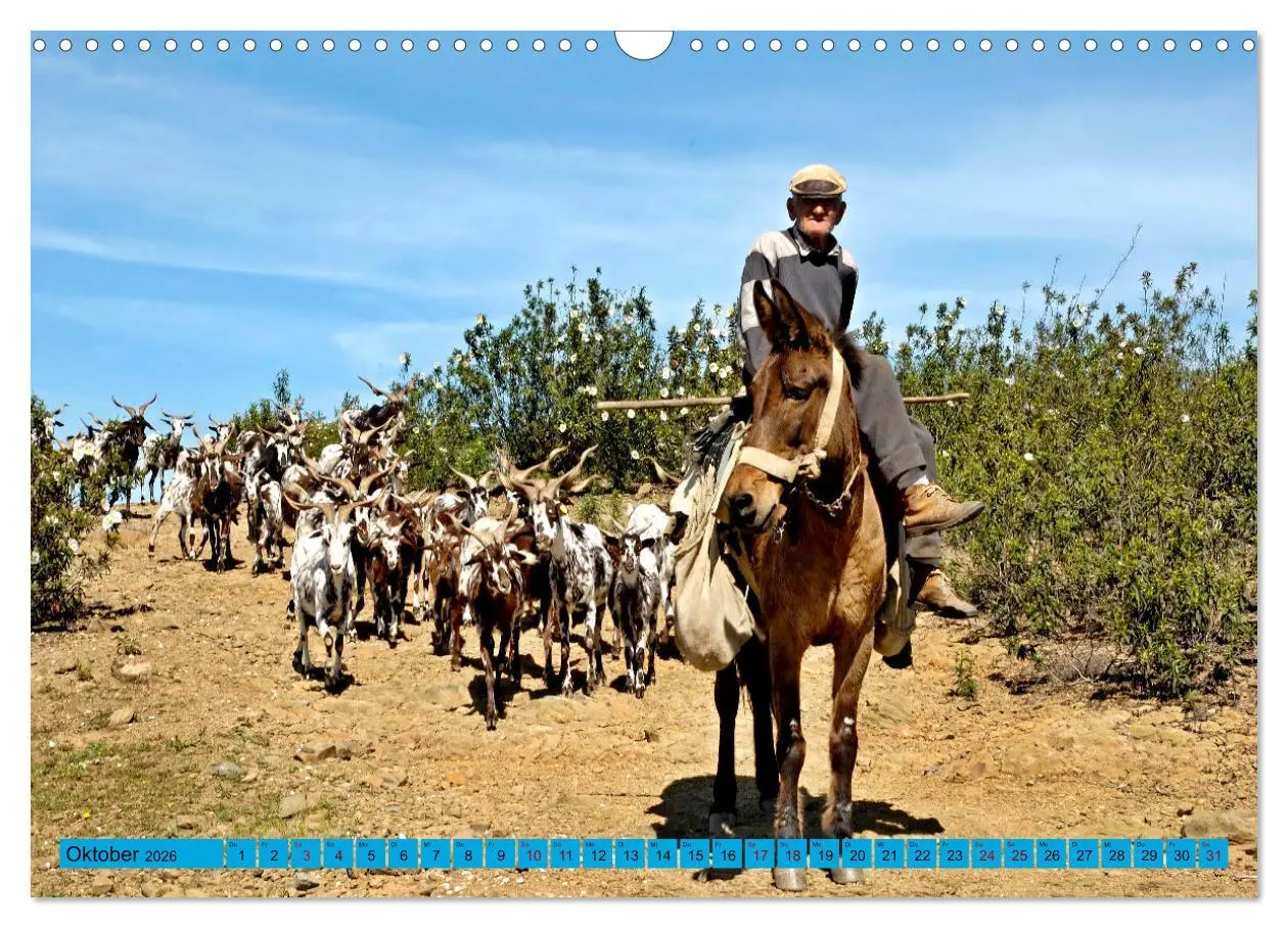 Bild: 9783457618059 | Eine Reise durch Portugal (Wandkalender 2026 DIN A3 quer), CALVENDO...