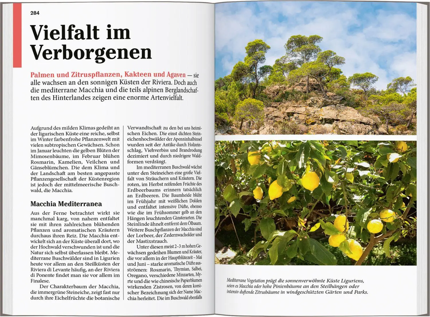 Bild: 9783616008059 | DUMONT Reise-Taschenbuch Reiseführer Ligurien, Italienische...