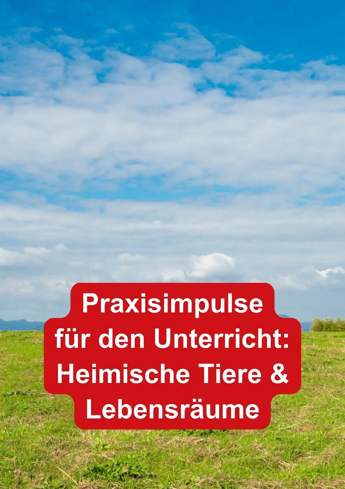 Bild: 9783867408059 | Themenheft Eichhörnchen | Teresa Zabori | Broschüre | 28 S. | Deutsch
