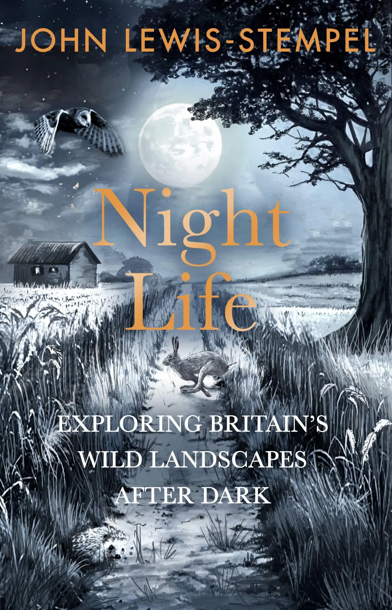 Cover: 9781529938159 | Night Life | Walking Britain's wild landscapes after dark | Buch