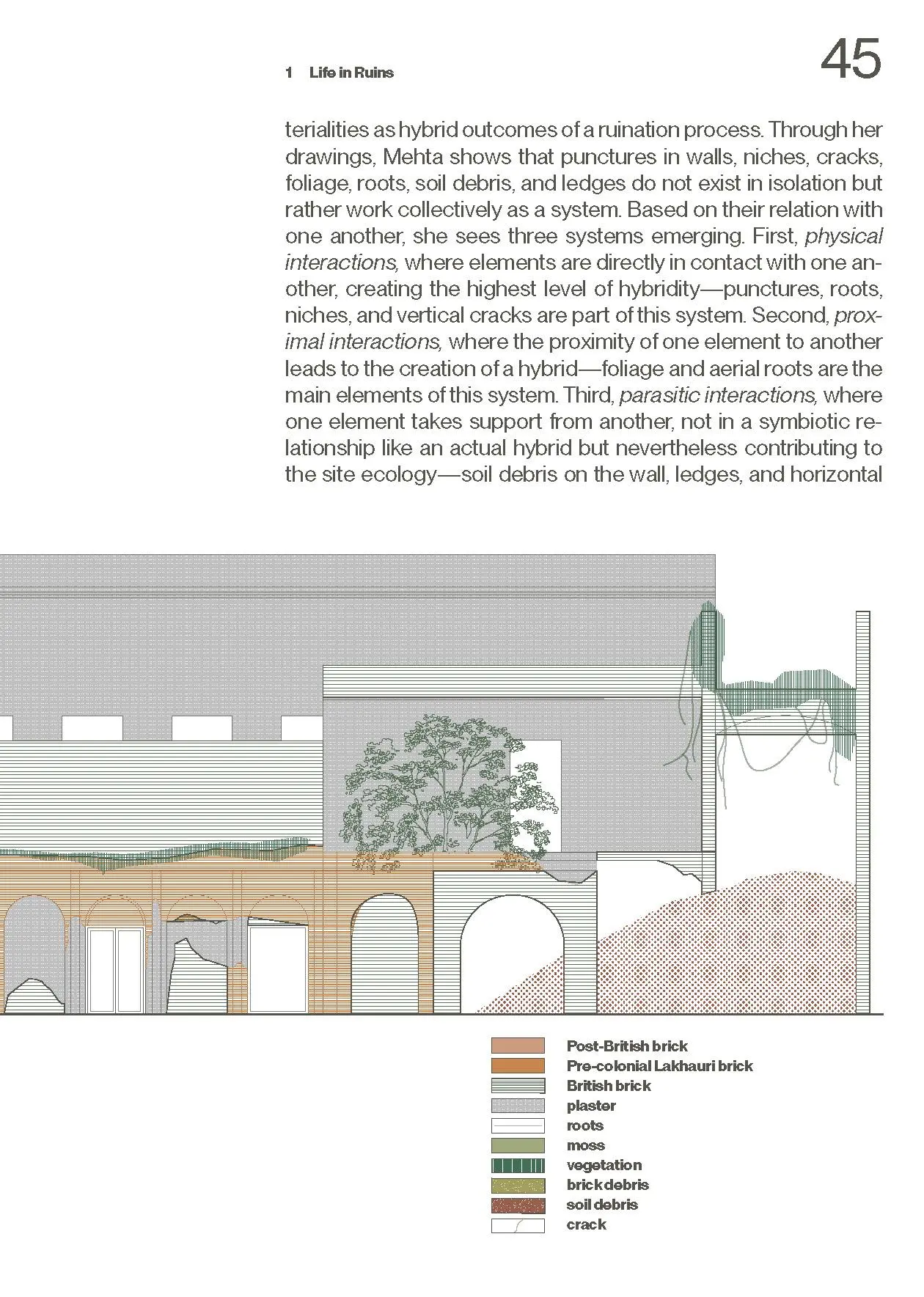 Bild: 9783035628159 | Living Together | More-Than-Human Ecologies for Architectural Thinking