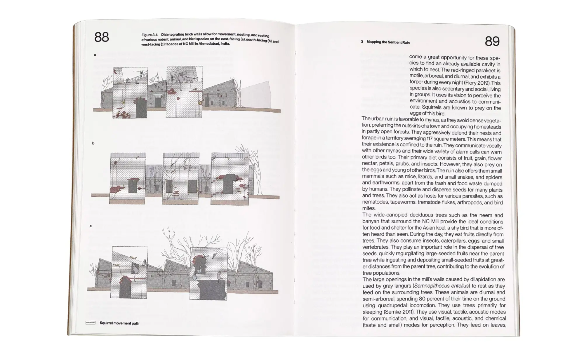 Bild: 9783035628159 | Living Together | More-Than-Human Ecologies for Architectural Thinking