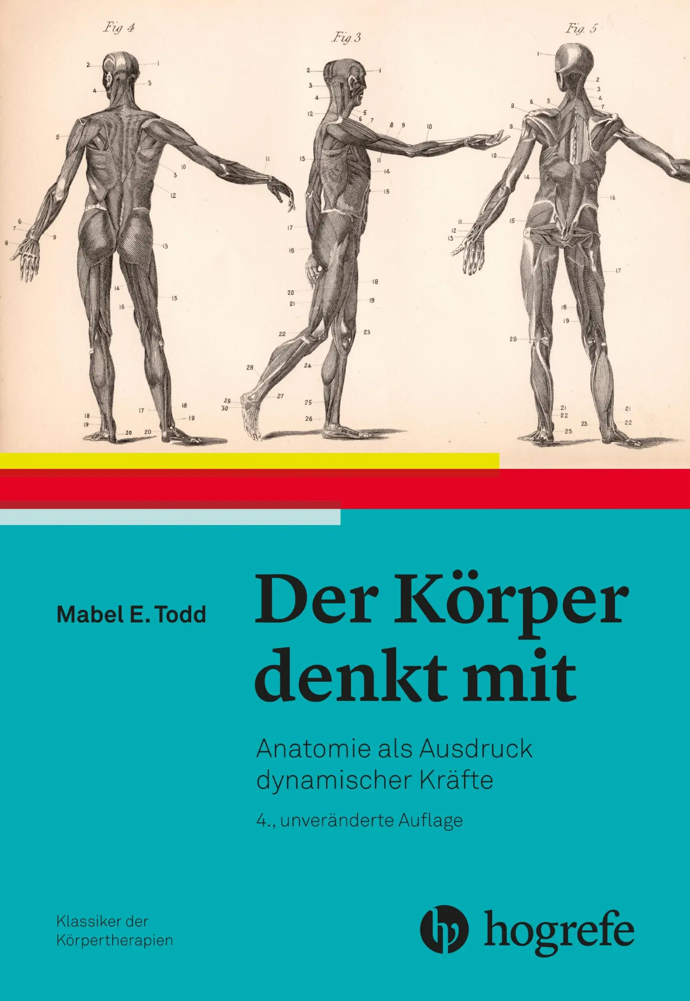 Cover: 9783456858159 | Der Körper denkt mit | Anatomie als Ausdruck dynamischer Kräfte | Todd