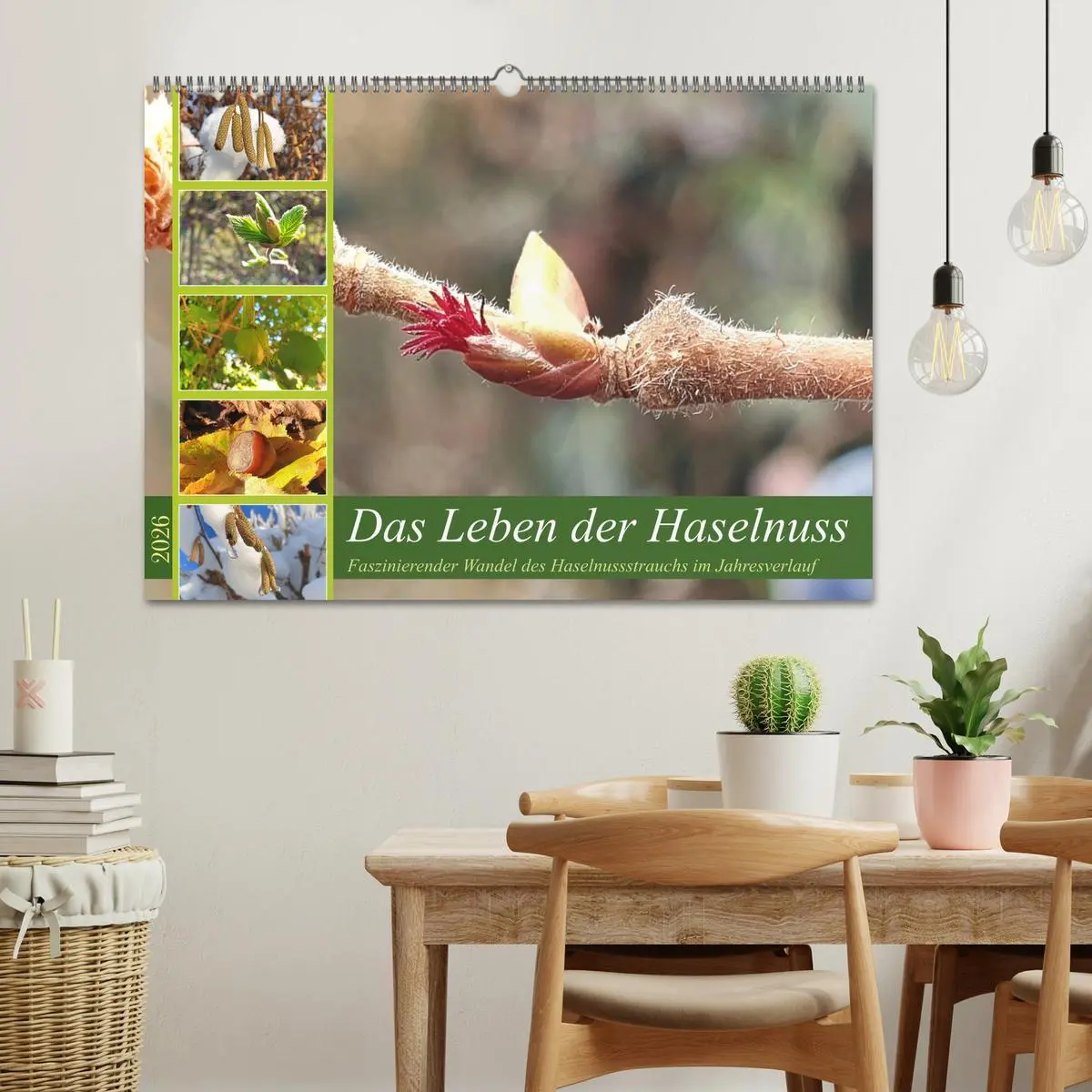 Bild: 9783457538159 | Das Leben der Haselnuss (Wandkalender 2026 DIN A2 quer), CALVENDO...