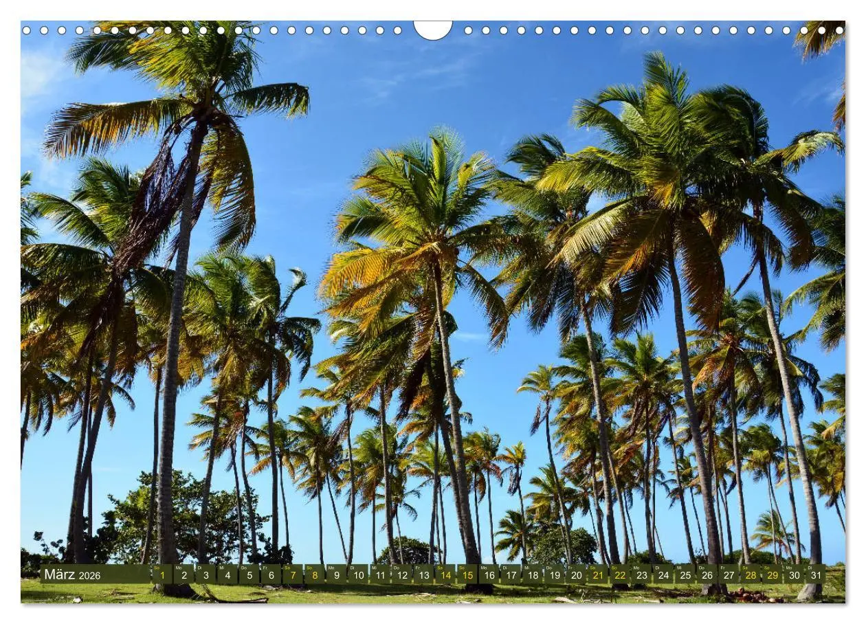 Bild: 9783457848159 | Samana - Palmen und Strände (Wandkalender 2026 DIN A3 quer),...