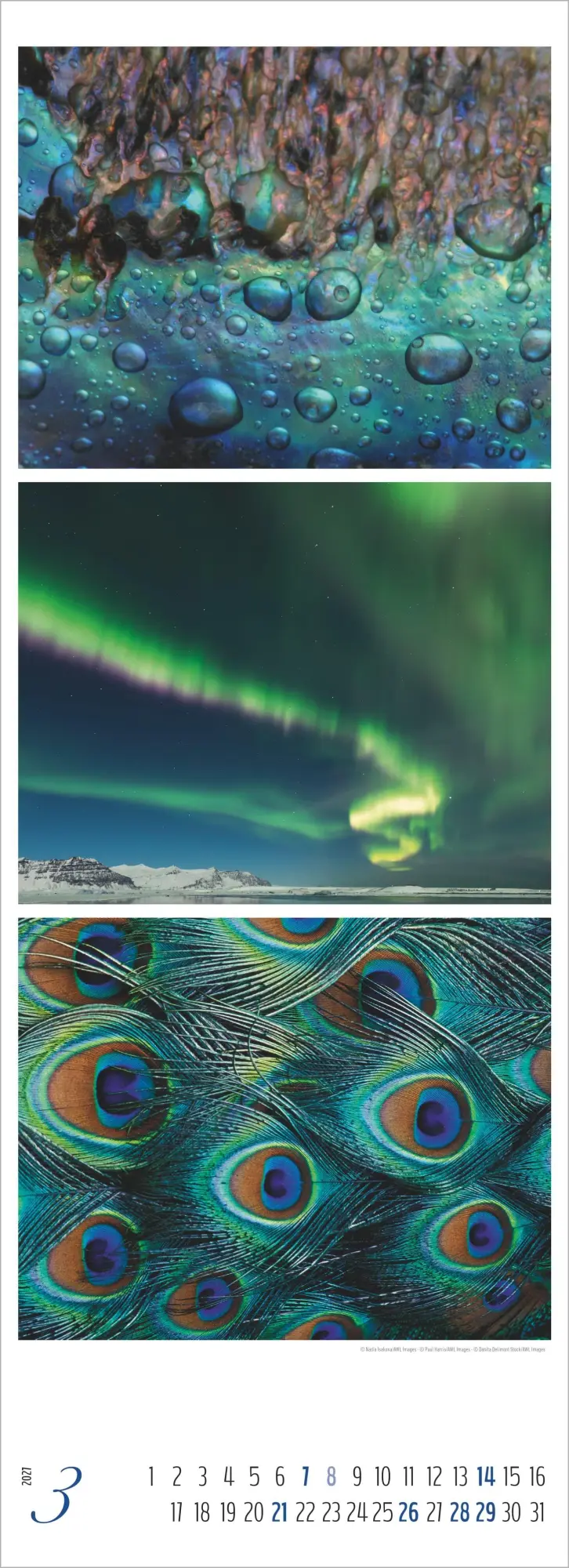 Bild: 4069095018259 | Colours of Nature - Triplets 2027 | Cornelia Dörr | Kalender | 14 S.
