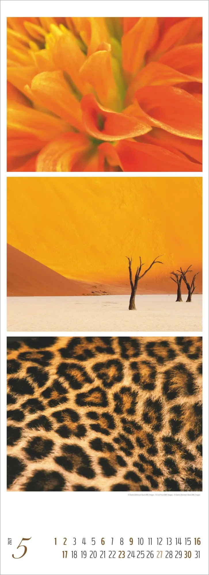 Bild: 4069095018259 | Colours of Nature - Triplets 2027 | Cornelia Dörr | Kalender | 14 S.
