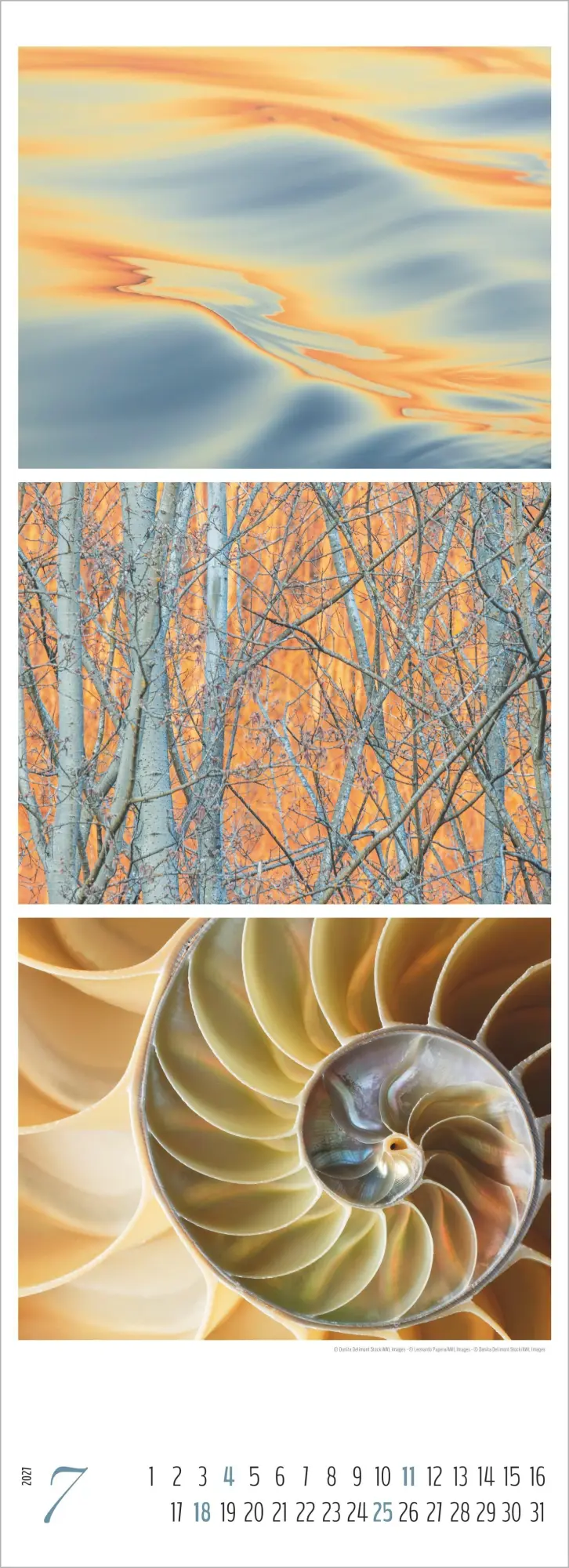Bild: 4069095018259 | Colours of Nature - Triplets 2027 | Cornelia Dörr | Kalender | 14 S.