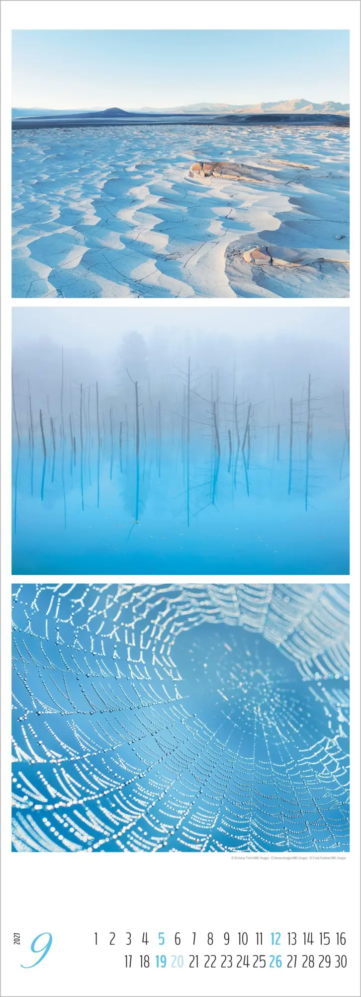 Bild: 4069095018259 | Colours of Nature - Triplets 2027 | Cornelia Dörr | Kalender | 14 S.