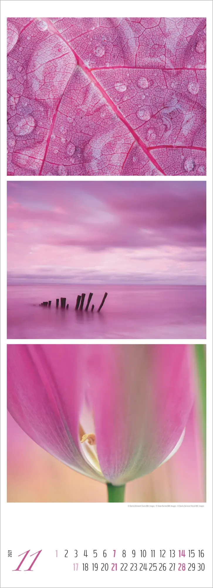 Bild: 4069095018259 | Colours of Nature - Triplets 2027 | Cornelia Dörr | Kalender | 14 S.