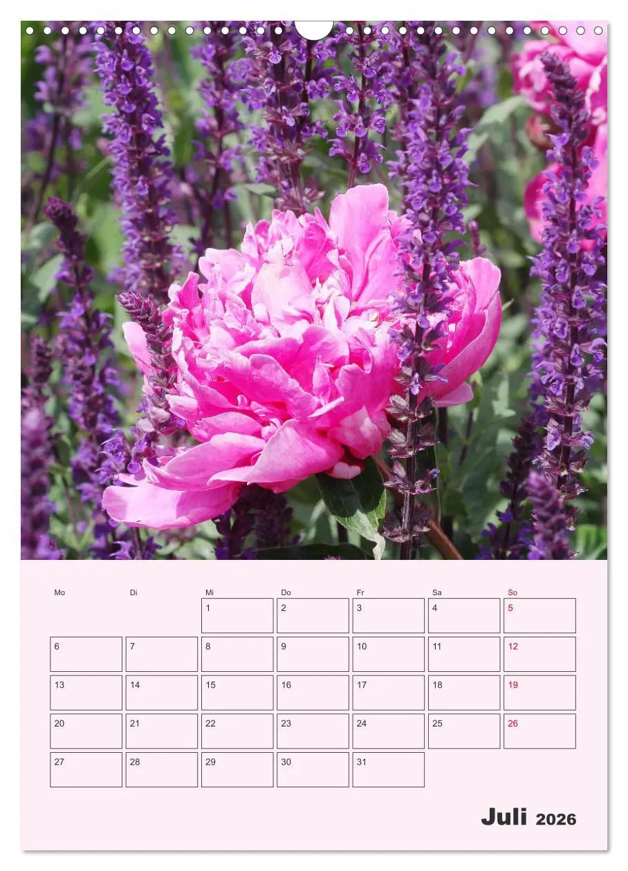 Bild: 9783516398359 | Pfingstrosen Rosen ohne Dornen (Wandkalender 2026 DIN A3 hoch),...