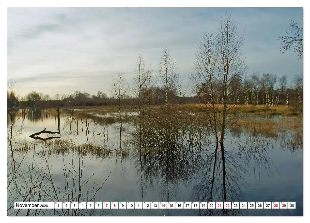 Bild: 9783516608359 | Impressionen aus dem Moor (Wandkalender 2026 DIN A3 quer), CALVENDO...