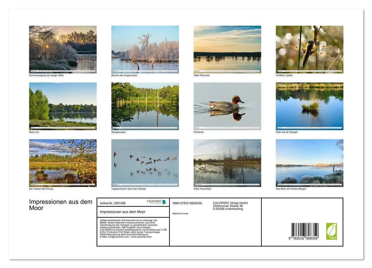 Bild: 9783516608359 | Impressionen aus dem Moor (Wandkalender 2026 DIN A3 quer), CALVENDO...