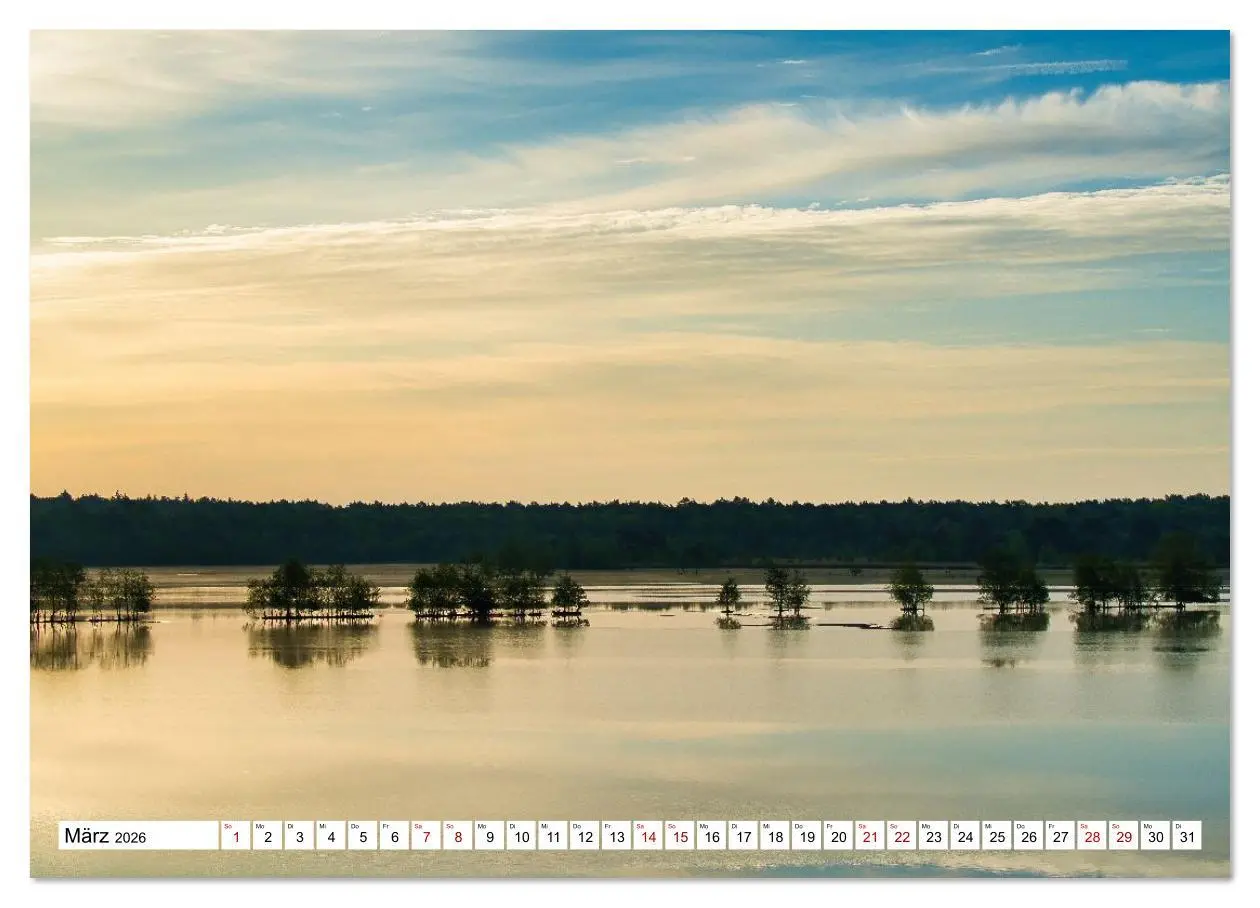 Bild: 9783516608359 | Impressionen aus dem Moor (Wandkalender 2026 DIN A3 quer), CALVENDO...