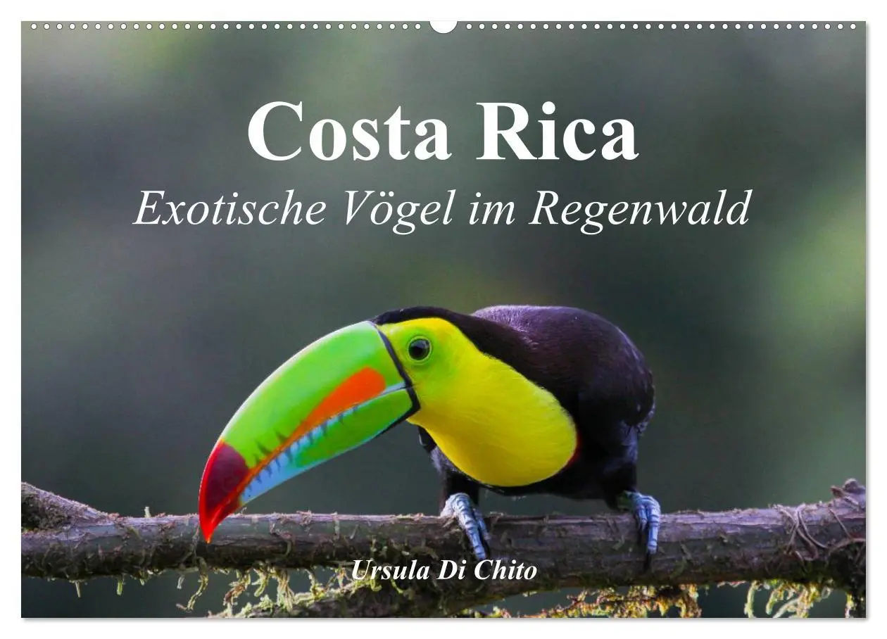 Cover: 9783516068559 | Costa Rica - Exotische Vögel im Regenwald (Wandkalender 2026 DIN A2...