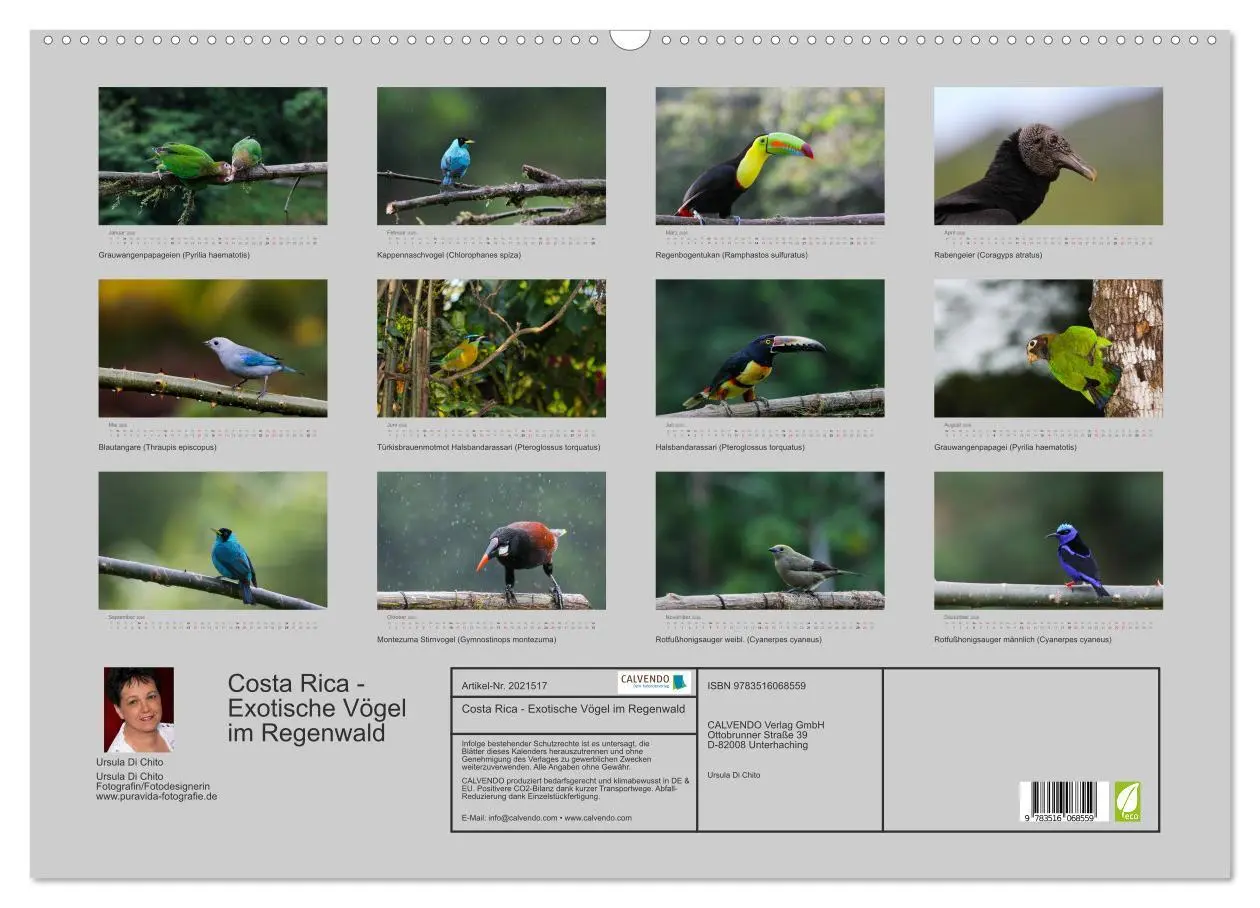 Bild: 9783516068559 | Costa Rica - Exotische Vögel im Regenwald (Wandkalender 2026 DIN A2...