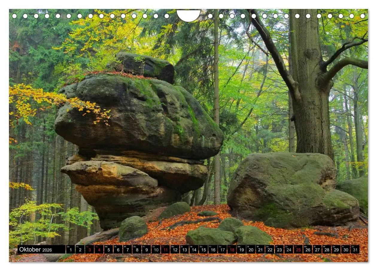 Bild: 9783516138559 | Elbsandsteingebirge (Wandkalender 2026 DIN A4 quer), CALVENDO...