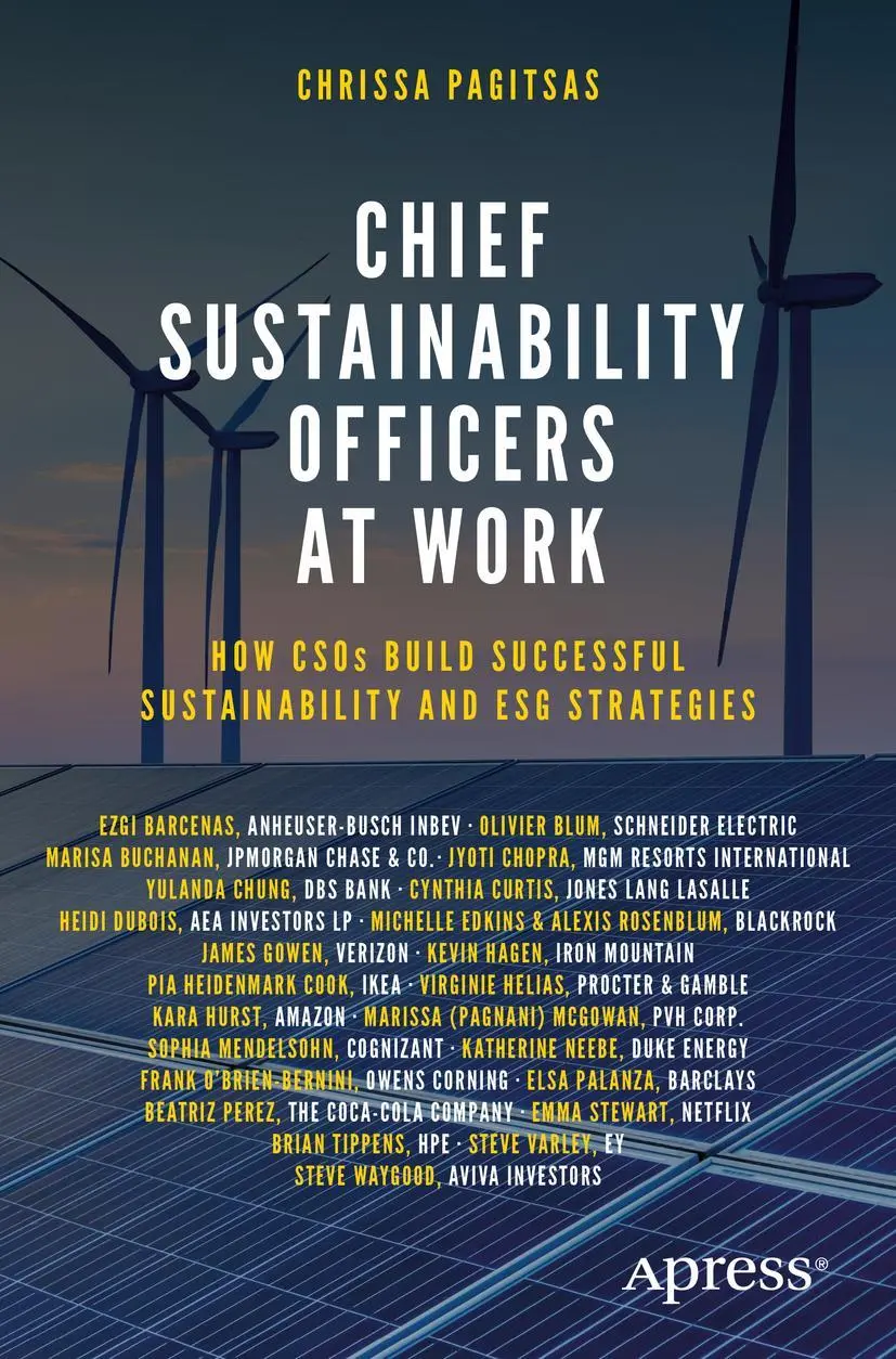 Cover: 9781484278659 | Chief Sustainability Officers At Work | Chrissa Pagitsas | Taschenbuch