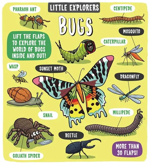 Cover: 9781783708659 | Little Explorers: Bugs | Dynamo Ltd. | Buch | Papp-Bilderbuch | 2018
