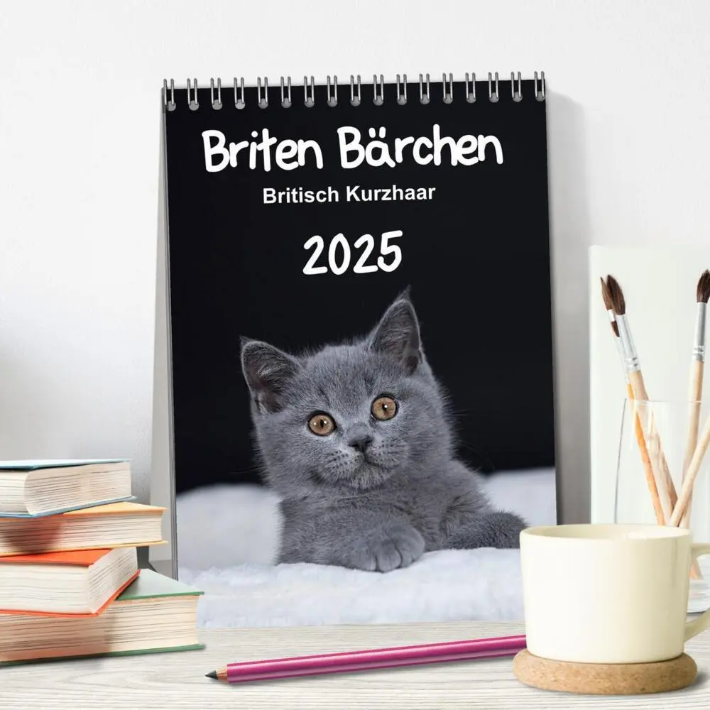 Bild: 9783457038659 | Briten Bärchen - Britisch Kurzhaar 2025 (Tischkalender 2025 DIN A5...