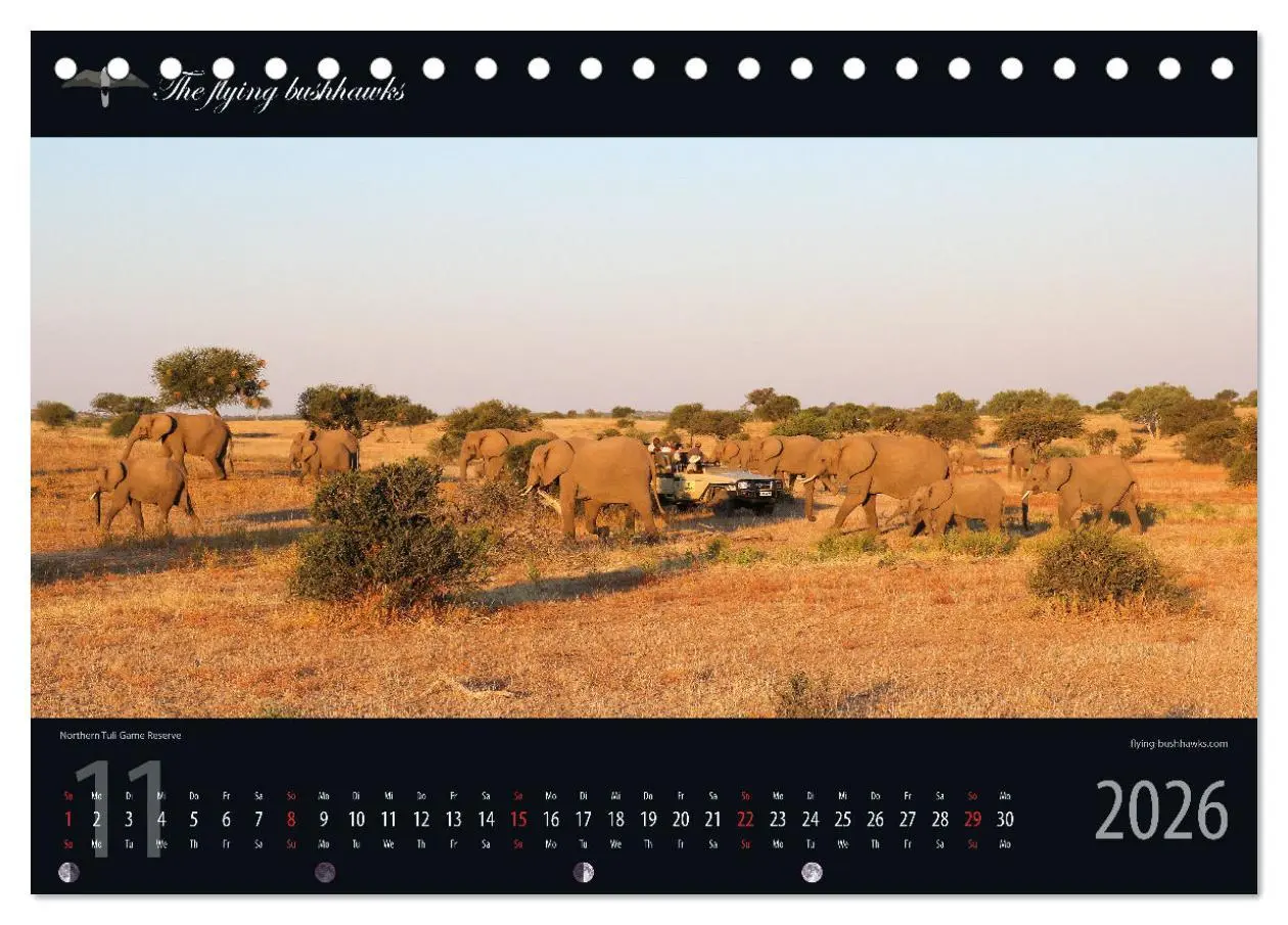 Bild: 9783457278659 | Botswana Blickwinkel 2026 (Tischkalender 2026 DIN A5 quer),...