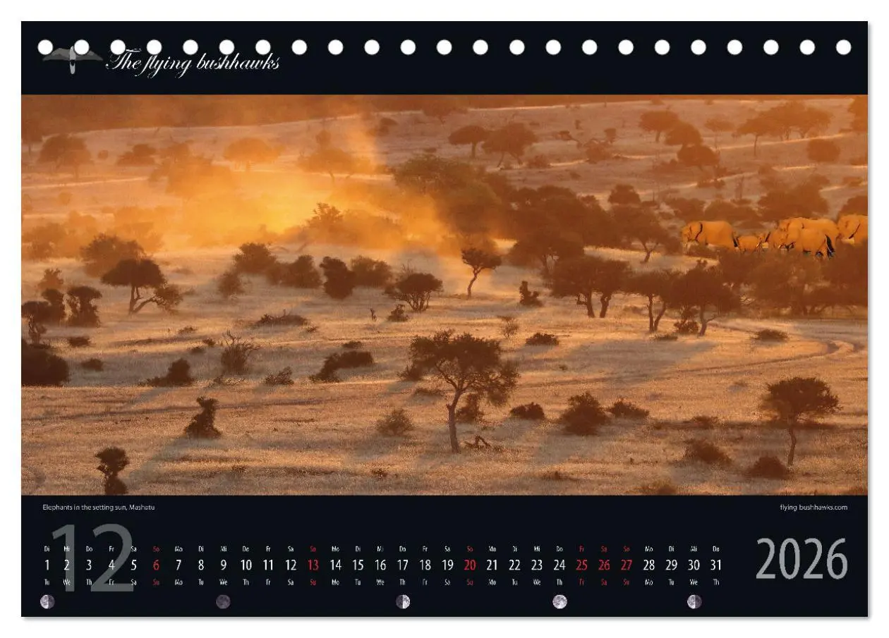 Bild: 9783457278659 | Botswana Blickwinkel 2026 (Tischkalender 2026 DIN A5 quer),...