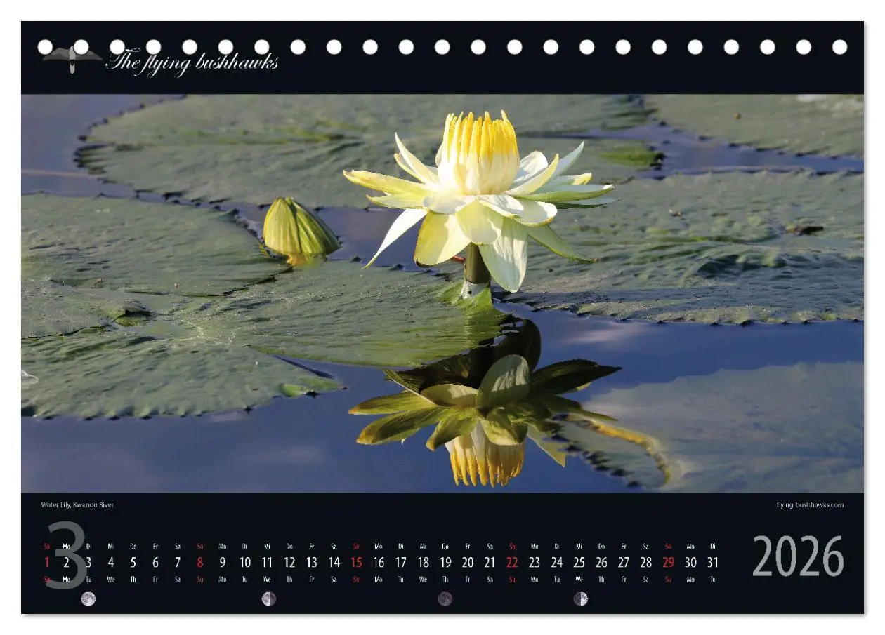 Bild: 9783457278659 | Botswana Blickwinkel 2026 (Tischkalender 2026 DIN A5 quer),...