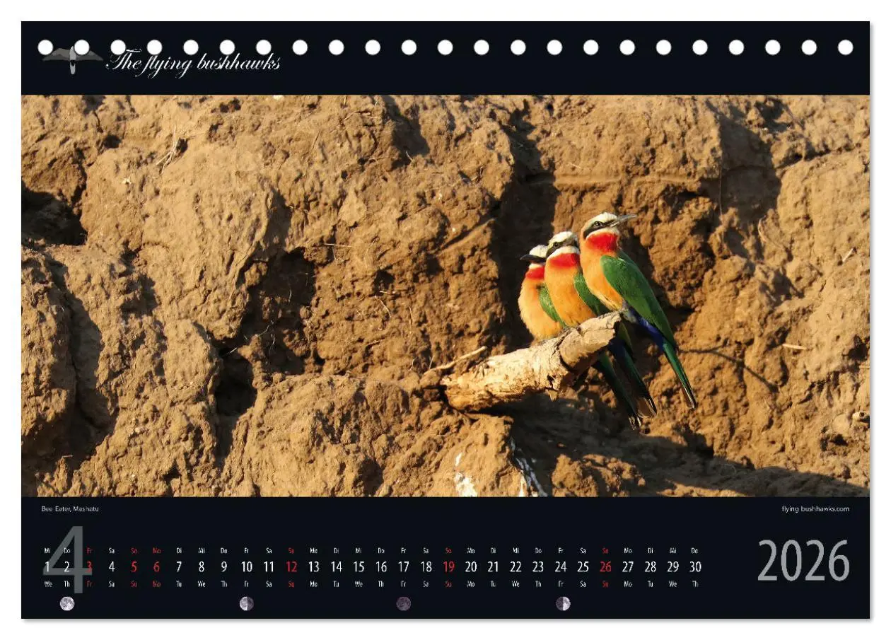 Bild: 9783457278659 | Botswana Blickwinkel 2026 (Tischkalender 2026 DIN A5 quer),...