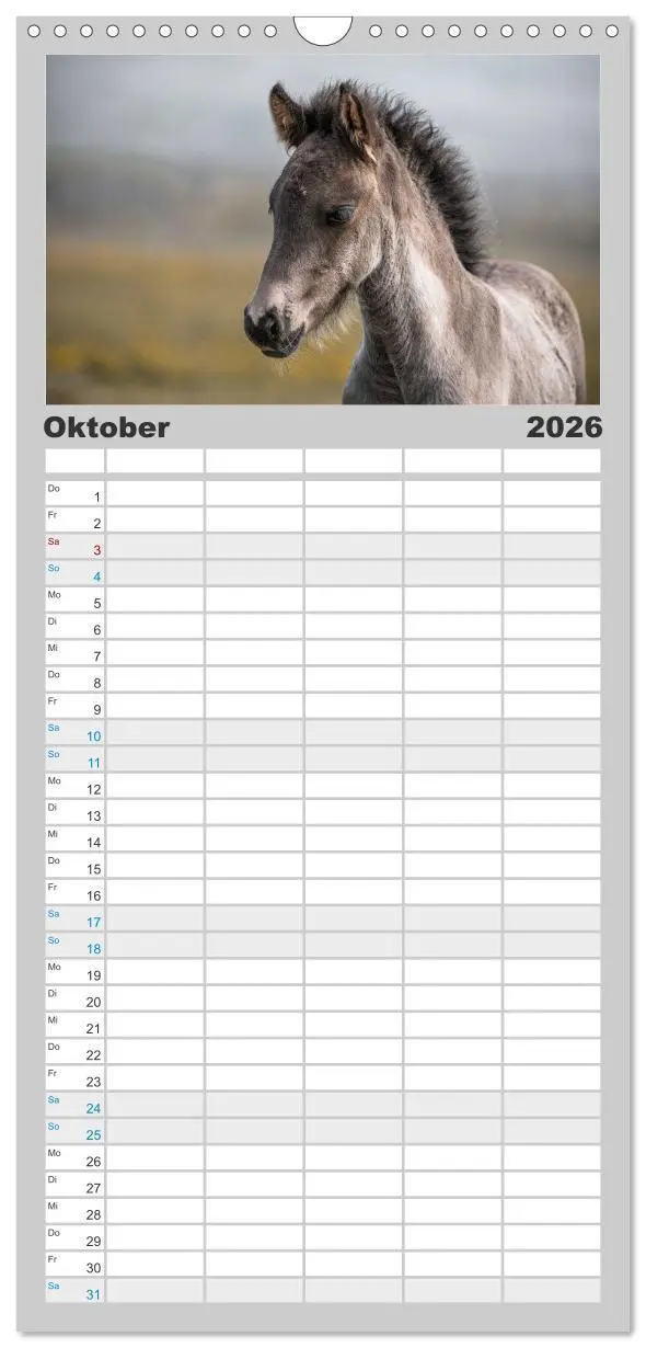 Bild: 9783516508659 | Familienplaner 2026 - Islandpferde Kalender - Pferde von der Insel...