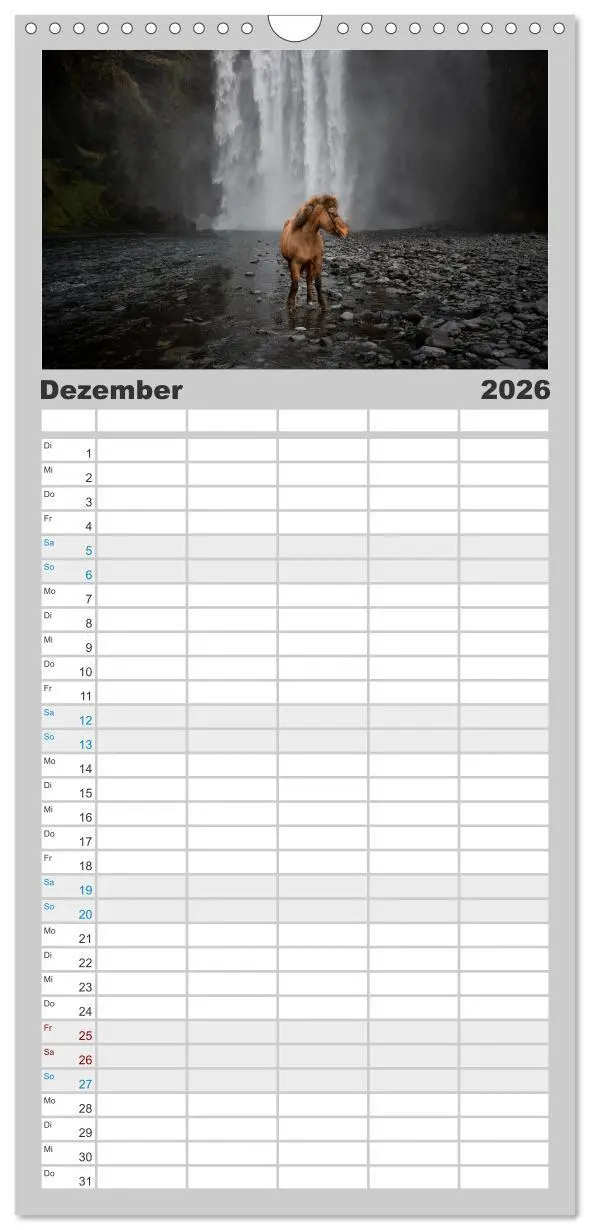 Bild: 9783516508659 | Familienplaner 2026 - Islandpferde Kalender - Pferde von der Insel...