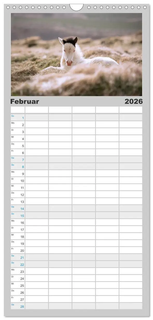 Bild: 9783516508659 | Familienplaner 2026 - Islandpferde Kalender - Pferde von der Insel...