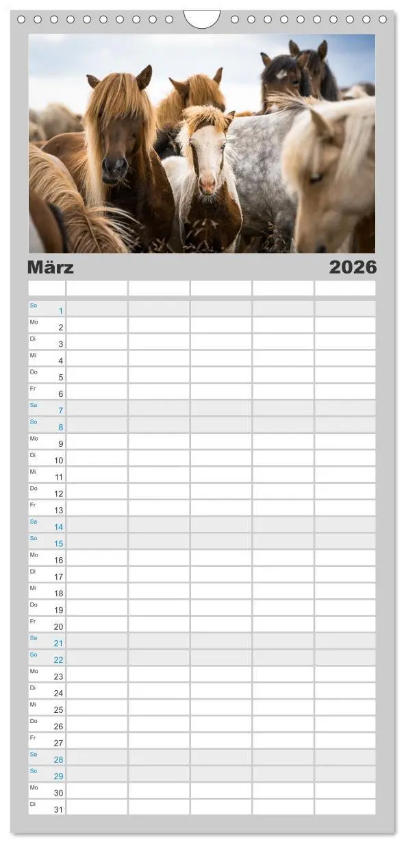 Bild: 9783516508659 | Familienplaner 2026 - Islandpferde Kalender - Pferde von der Insel...