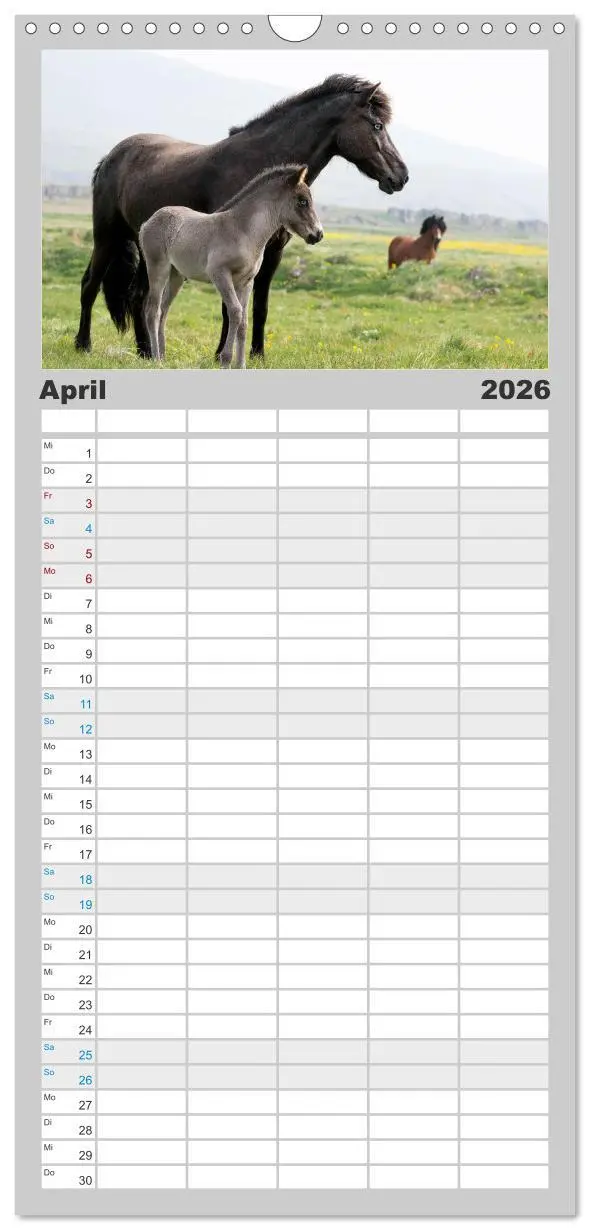 Bild: 9783516508659 | Familienplaner 2026 - Islandpferde Kalender - Pferde von der Insel...