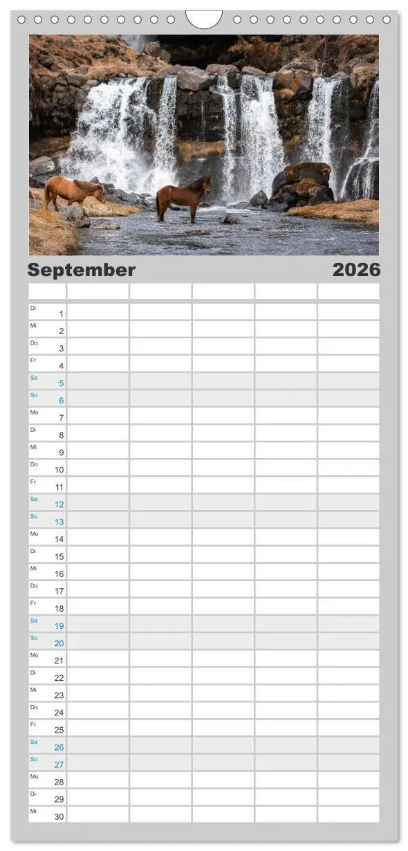 Bild: 9783516508659 | Familienplaner 2026 - Islandpferde Kalender - Pferde von der Insel...