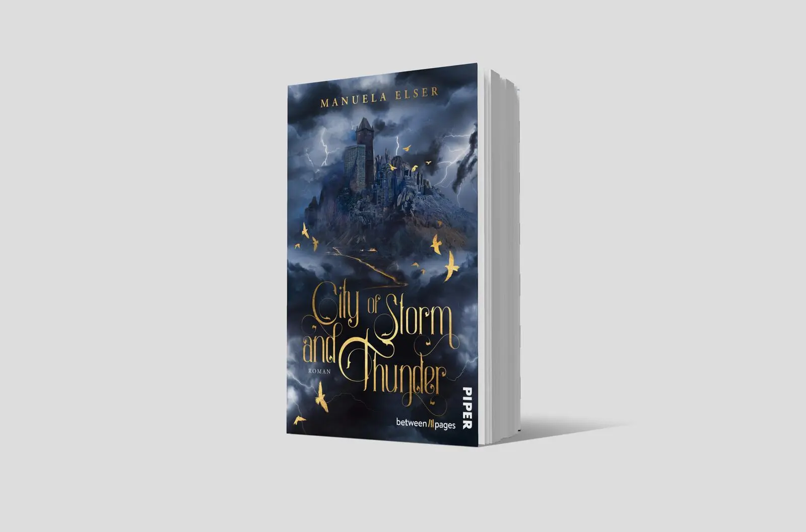 Bild: 9783492508759 | City of Storm and Thunder | Manuela Elser | Taschenbuch | 368 S.