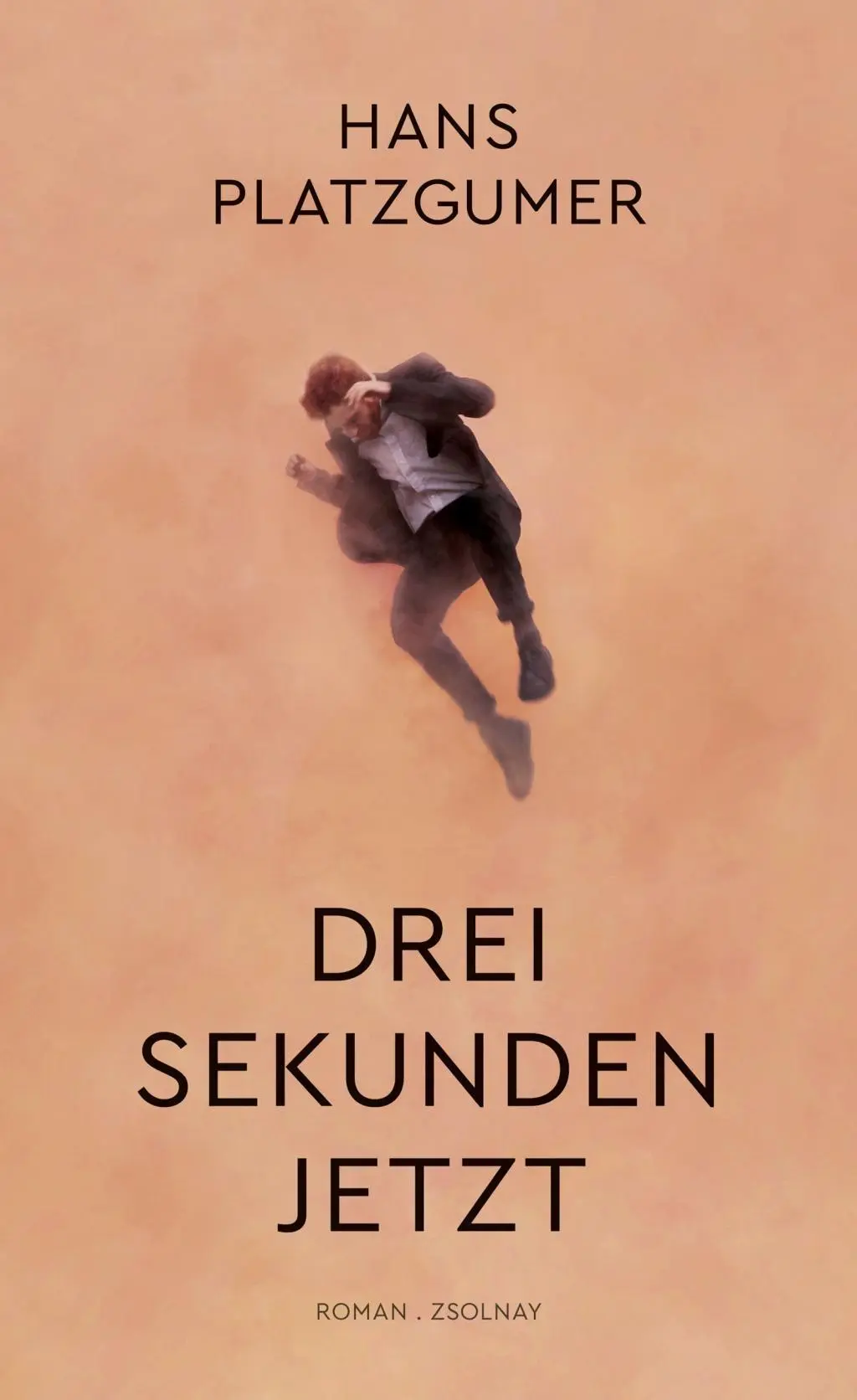 Cover: 9783552058859 | Drei Sekunden Jetzt | Roman | Hans Platzgumer | Buch | 256 S. | 2018