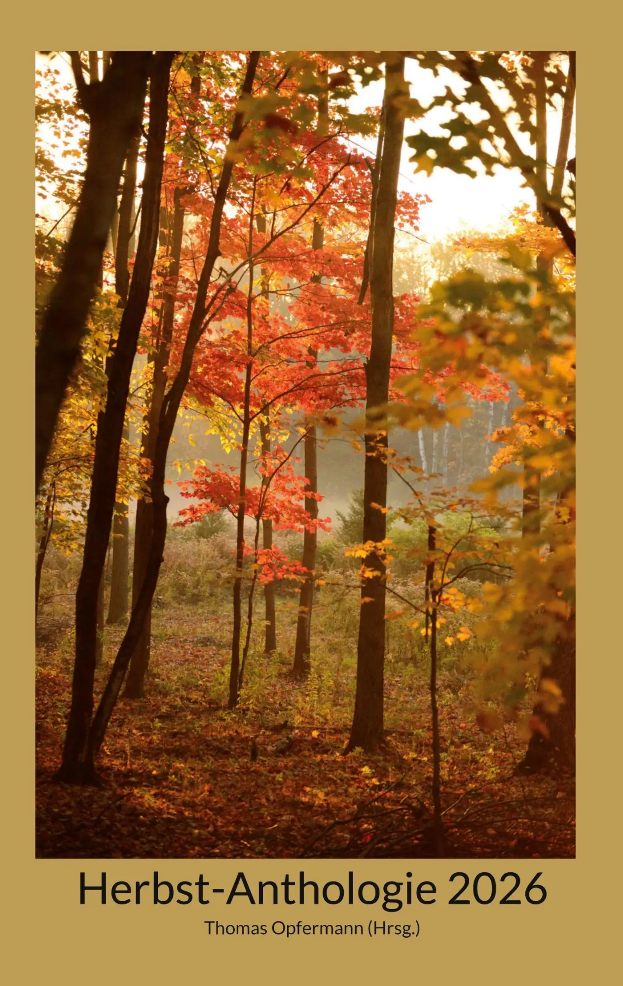 Cover: 9783696778859 | Herbst-Anthologie 2026 | Thomas Opfermann | Taschenbuch | 176 S.