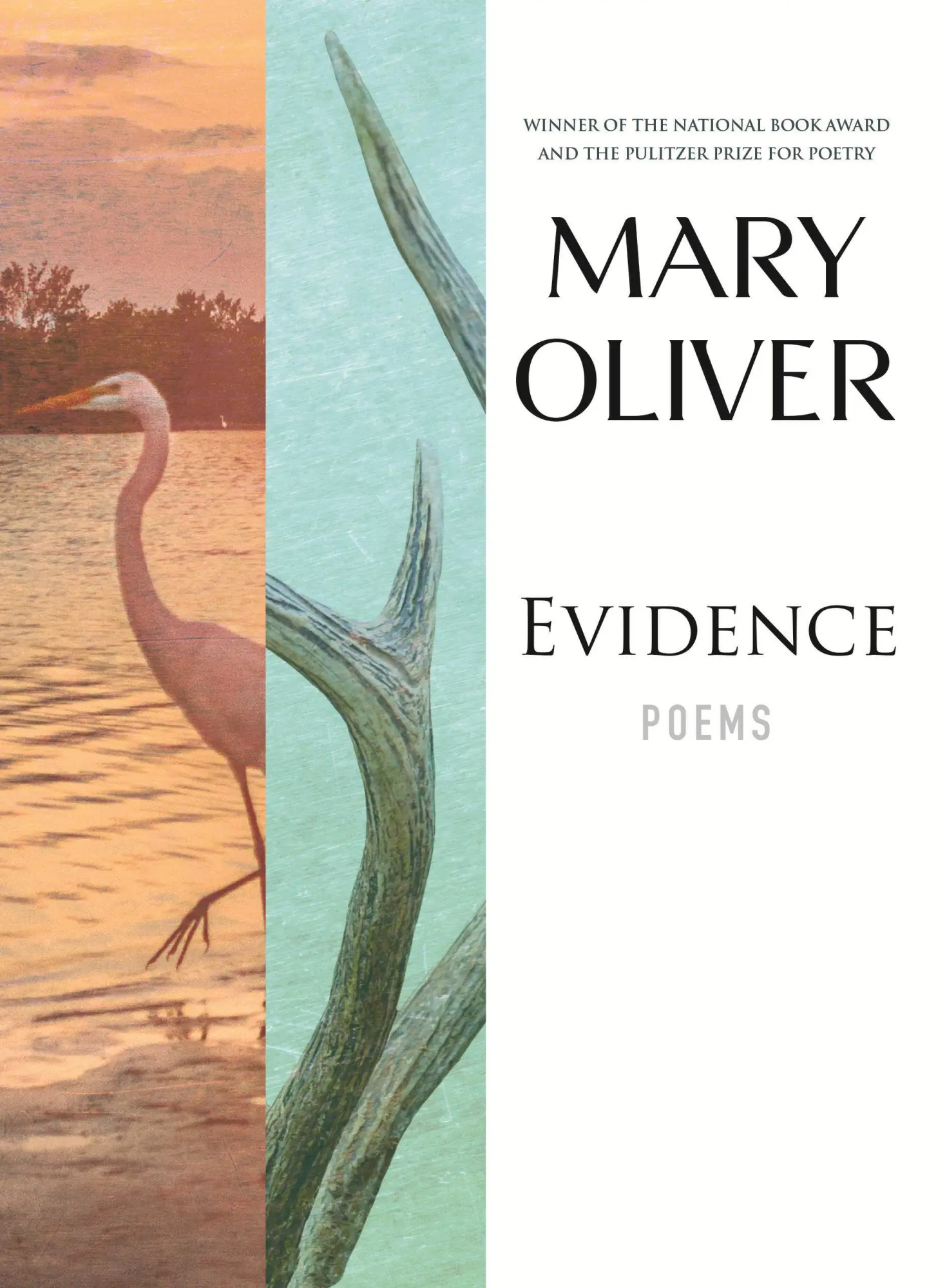 Cover: 9780807069059 | Evidence | Poems | Mary Oliver | Taschenbuch | Englisch | 2010