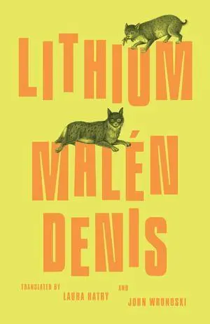 Cover: 9780811239059 | Lithium | Malén Denis | Taschenbuch | Einband - flex.(Paperback)