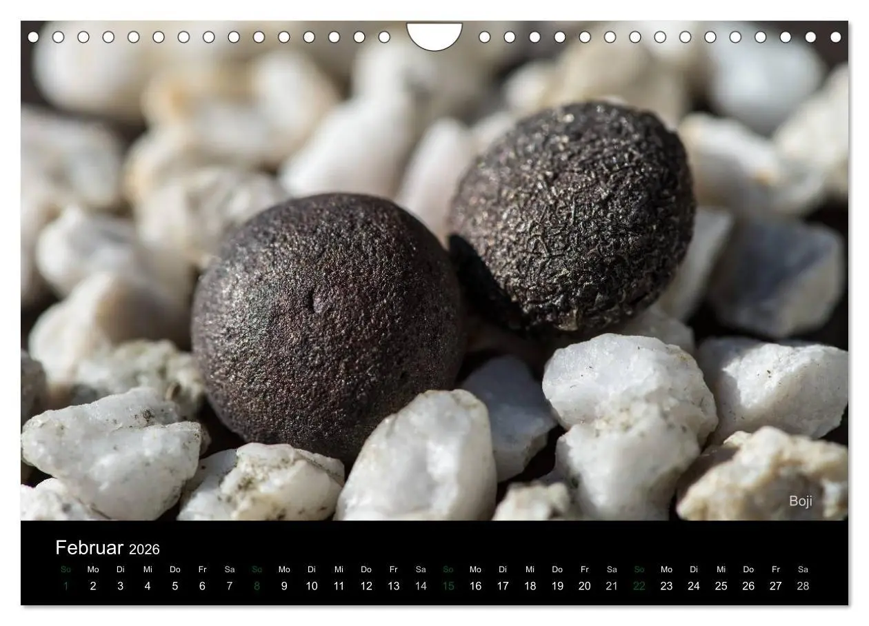 Bild: 9783516089059 | Edelsteine. Wunder der Natur (Wandkalender 2026 DIN A4 quer),...