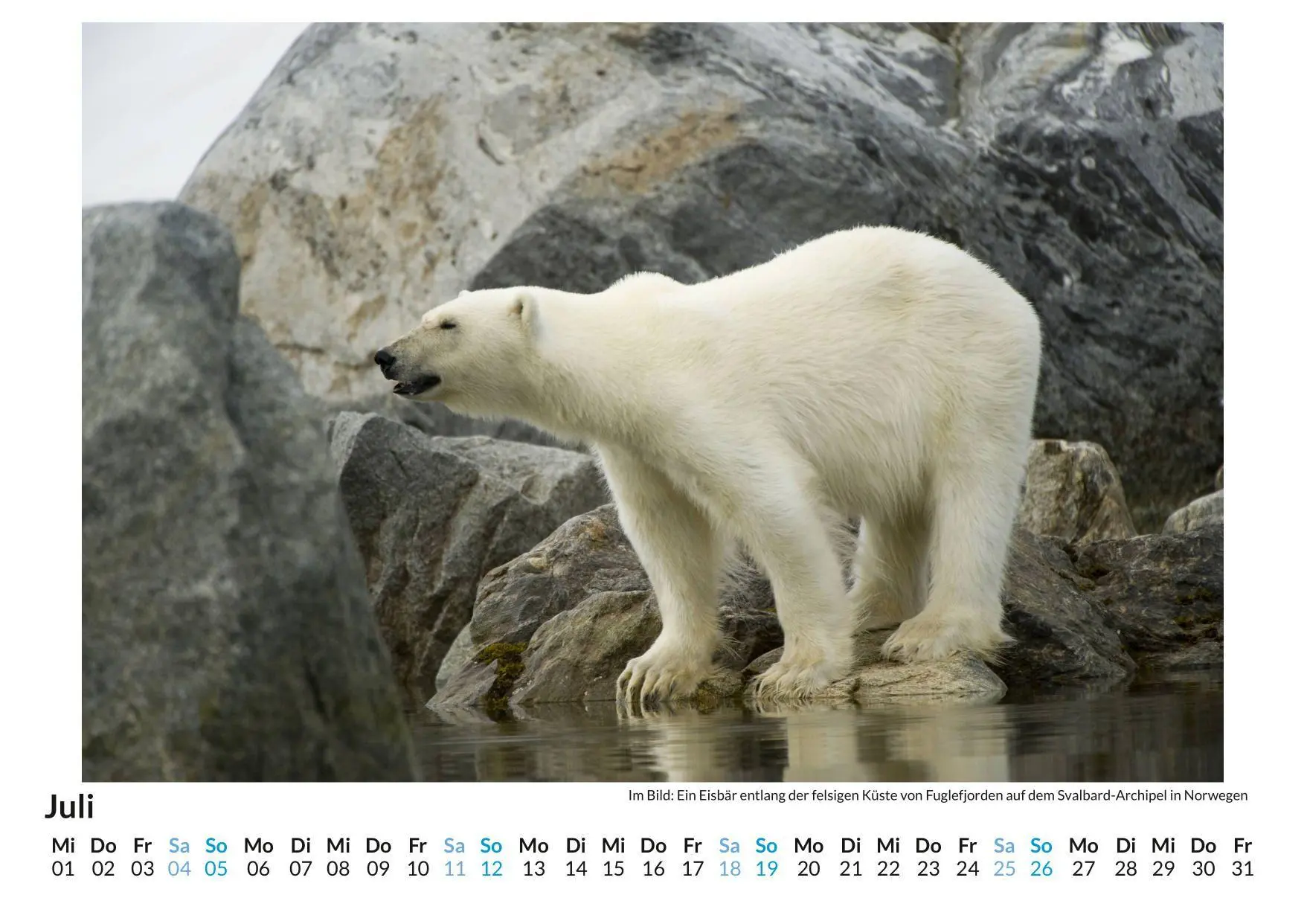 Bild: 9783759189059 | Eisbär | Anna Meier | Kalender | Deutsch | 2026 | FlipFlop