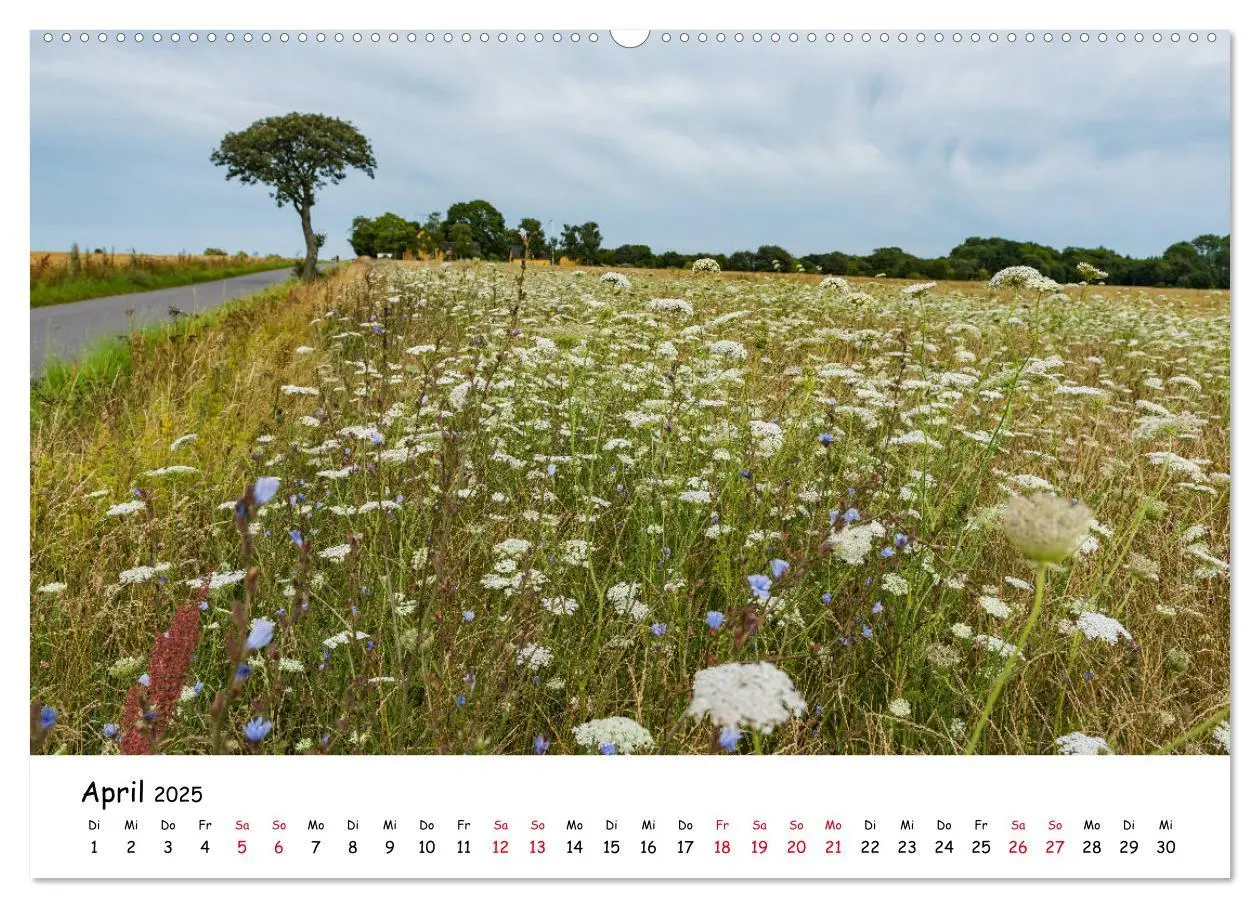 Bild: 9783435339259 | Bornholm 2025 Ein Jahr im Sommer (hochwertiger Premium Wandkalender...