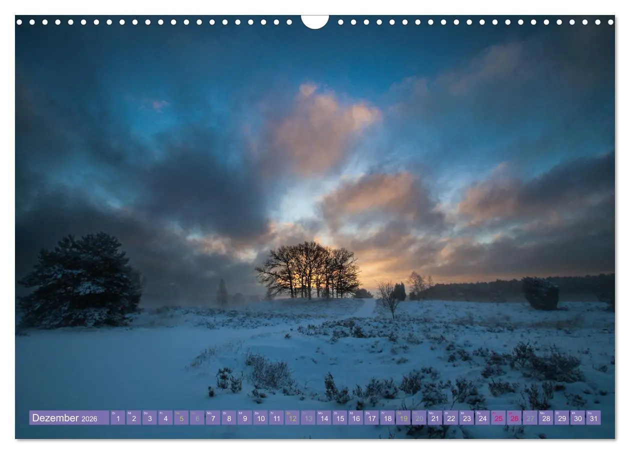 Bild: 9783457599259 | Die Farbenpracht der Lüneburger Heide (Wandkalender 2026 DIN A3...