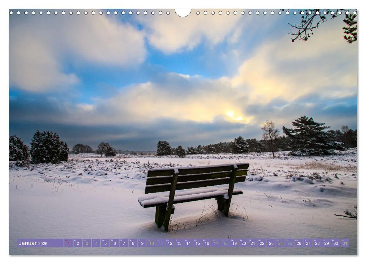 Bild: 9783457599259 | Die Farbenpracht der Lüneburger Heide (Wandkalender 2026 DIN A3...