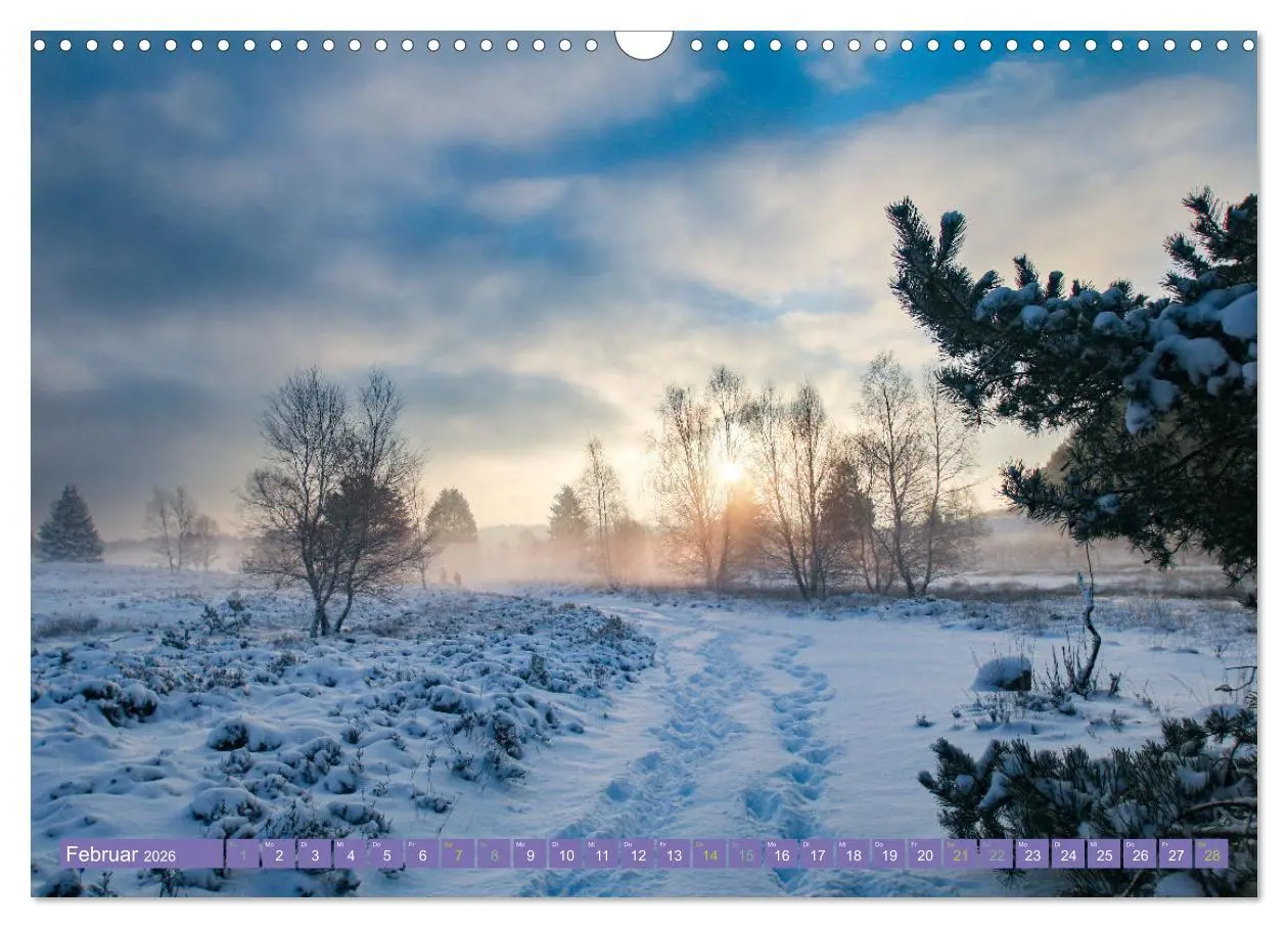 Bild: 9783457599259 | Die Farbenpracht der Lüneburger Heide (Wandkalender 2026 DIN A3...