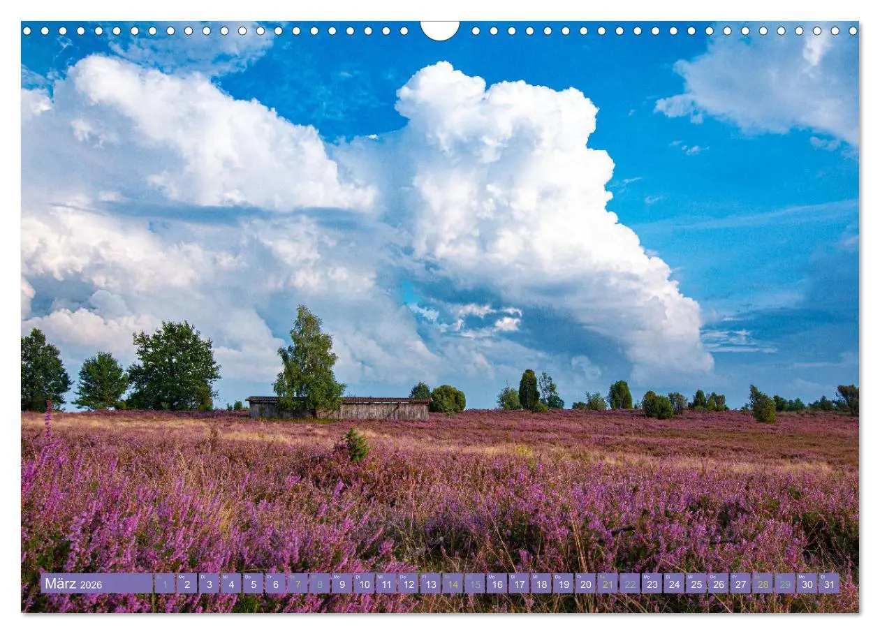 Bild: 9783457599259 | Die Farbenpracht der Lüneburger Heide (Wandkalender 2026 DIN A3...