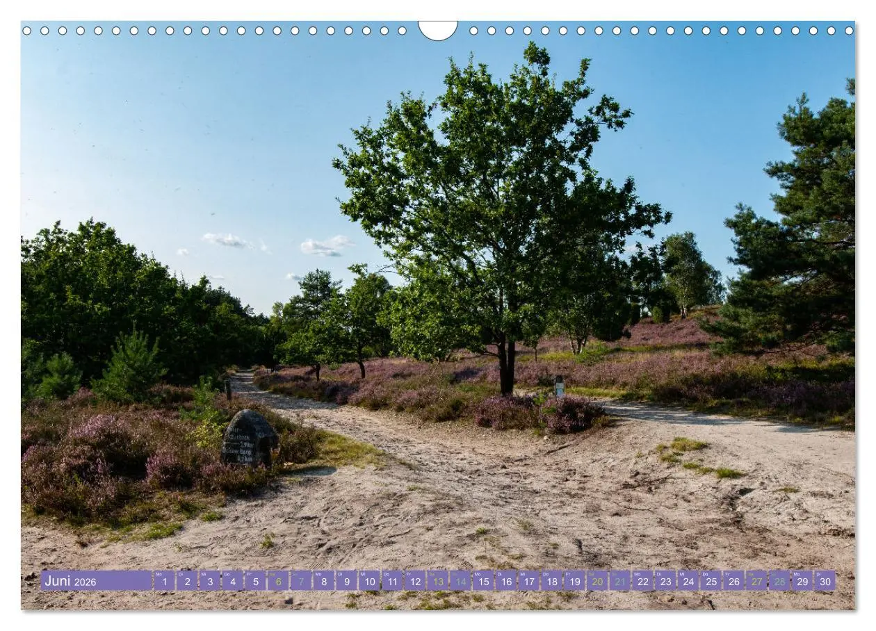 Bild: 9783457599259 | Die Farbenpracht der Lüneburger Heide (Wandkalender 2026 DIN A3...