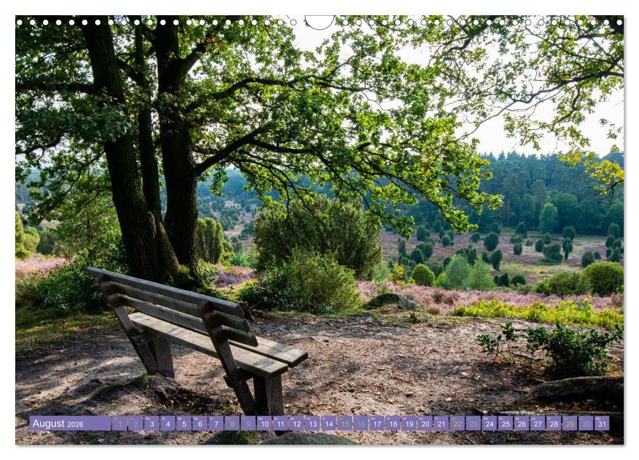 Bild: 9783457599259 | Die Farbenpracht der Lüneburger Heide (Wandkalender 2026 DIN A3...